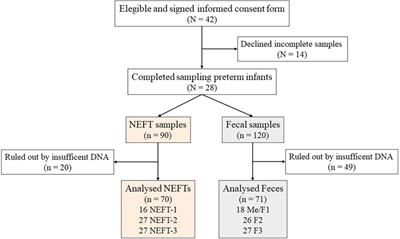 Linking preterm infant gut microbiota to nasograstric enteral feeding tubes: exploring potential interactions and microbial strain transmission